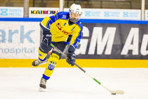 Ishockeyfoto.dk
