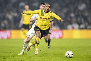 Donyell Malen  (Borussia Dortmund)